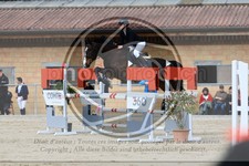 ref. photo 3577368