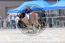 ref. photo 3577593