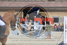 ref. photo 3577865