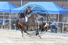 ref. photo 3578002