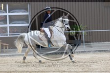 ref. photo 3578138