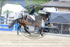 ref. photo 3578331