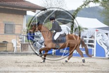 ref. photo 3578516