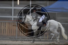 ref. photo 3578653