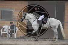 ref. photo 3578656