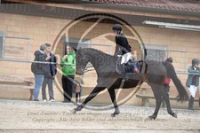 ref. photo 3578661