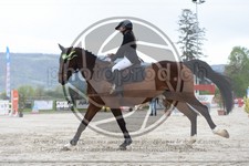 ref. photo 3578708