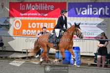 ref. photo 3304854
