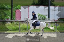 ref. photo 3304891