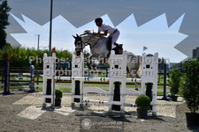 ref. photo 3304955