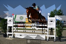 ref. photo 3305013