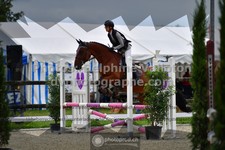 ref. photo 3305053