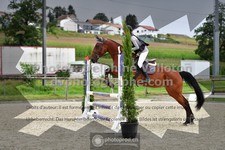 ref. photo 3305054