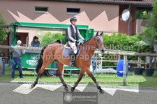 ref. photo 3305061