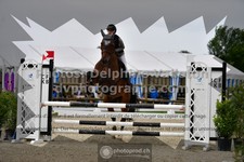 ref. photo 3305069