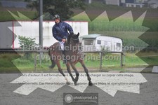 ref. photo 3305097