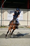 ref. photo 3305147