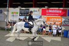 ref. photo 3305186