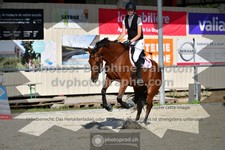 ref. photo 3305491