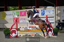 ref. photo 3305515
