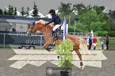 ref. photo 3305530