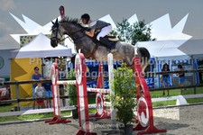 ref. photo 3305571