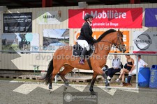 ref. photo 3305900
