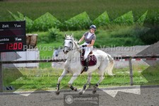 ref. photo 3305996