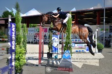 ref. photo 3306117