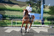 ref. photo 3306128