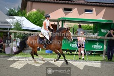 ref. photo 3306188