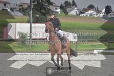 ref. photo 3306516