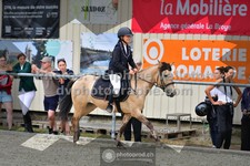 ref. photo 3306581