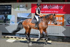 ref. photo 3306640