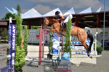 ref. photo 3306730