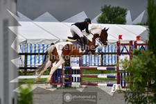 ref. photo 3307079