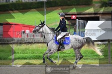 ref. photo 3307113