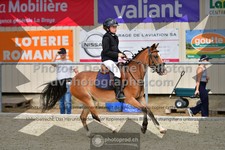 ref. photo 3307154