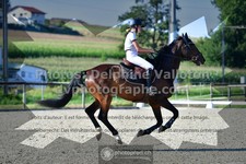 ref. photo 3307172