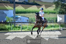 ref. photo 3307176