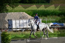ref. photo 3307217