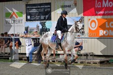 ref. photo 3307248