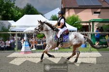 ref. photo 3307250