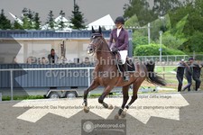 ref. photo 3307899