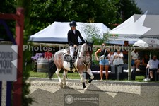 ref. photo 3308077