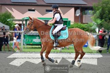 ref. photo 3309041