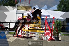 ref. photo 3309211