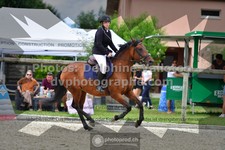ref. photo 3309854