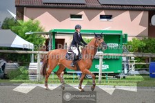 ref. photo 3309999