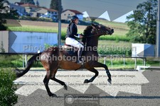 ref. photo 3310288